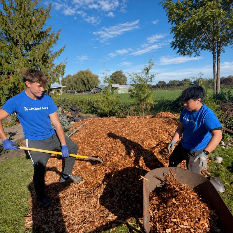 Two Linked Lives helpers spreading bark in a yard